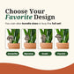 Mushroom Decor - Indoor Plant Accessories (4 Styles)