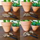 Mushroom Decor - Indoor Plant Accessories (4 Styles)