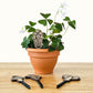 Mushroom Decor - Indoor Plant Accessories (4 Styles)