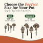 Mushroom Decor - Indoor Plant Accessories (4 Styles)