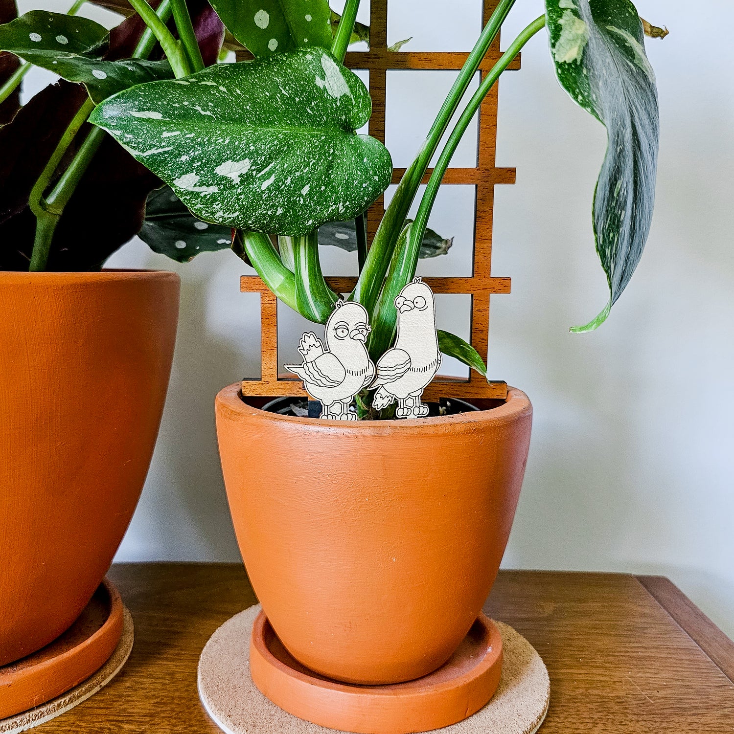 plant stakes indoor Pigeon Pair Indoor Plant Accessory Stake