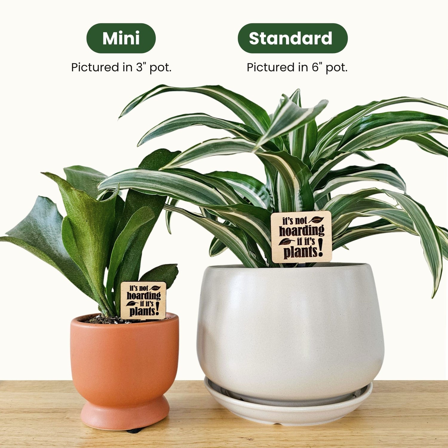 house plants as gifts Indoor Plant Accessories & Gifts for Plant Lovers