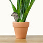 Mushroom Decor - Indoor Plant Accessories (4 Styles)