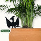 Dinosaur Indoor Plant Accessories (4 Styles)