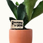 Funny Plant Sayings - Indoor Plant Accessories (4 Styles)