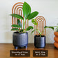 Modern Boho Rainbow Indoor Plant Trellis (Wood)