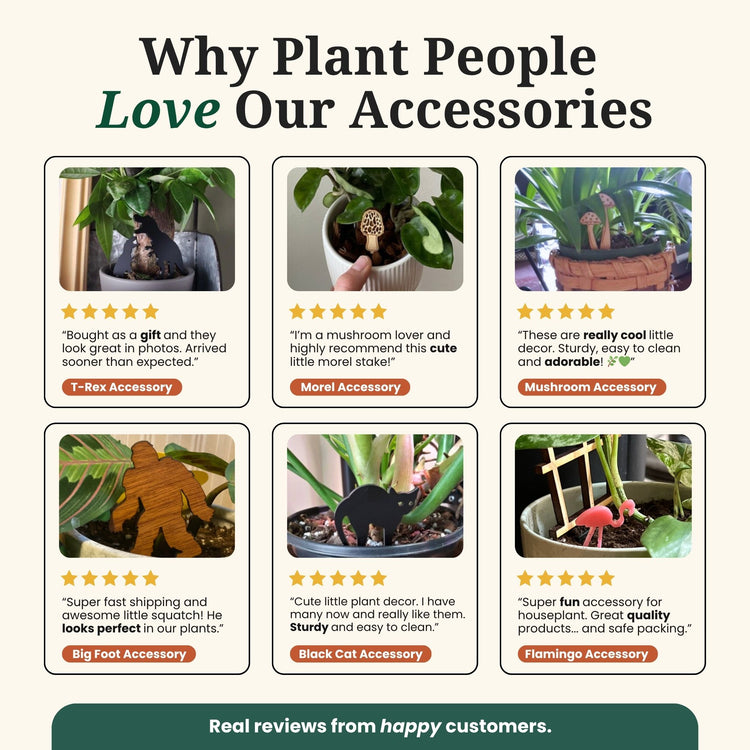 indoor plants sayings Indoor Plant Accessories