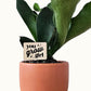 Funny Plant Sayings - Indoor Plant Accessories (4 Styles)