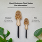 Size chart for morel mushroom decorative plant stakes. Two size options against a white background with measurement labels reflecting those in the written description.