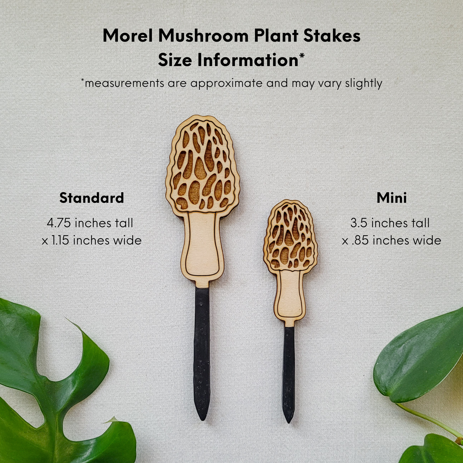 Size chart for morel mushroom decorative plant stakes. Two size options against a white background with measurement labels reflecting those in the written description.
