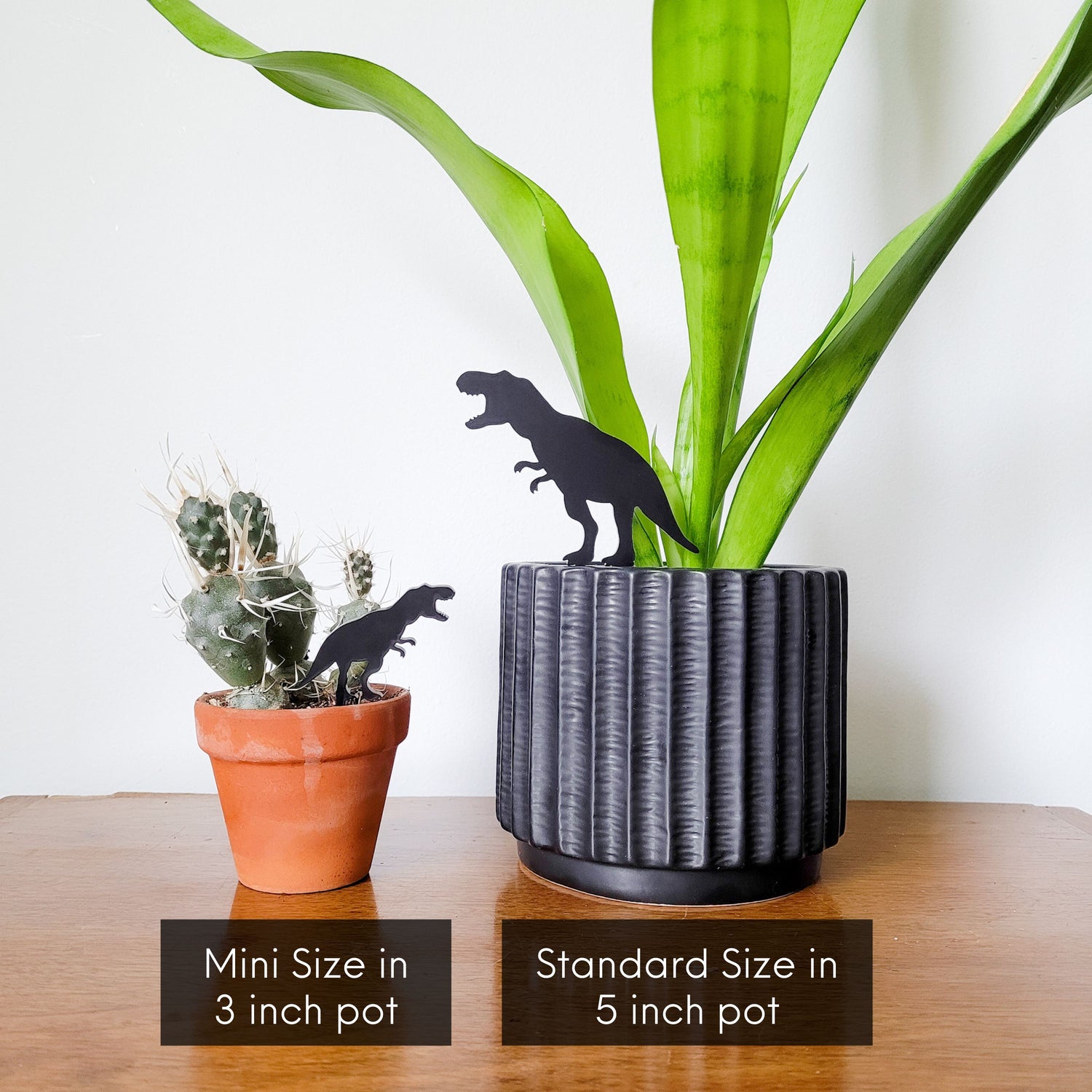 pot stakes plants T-Rex Dinosaur Indoor Plant Accessory