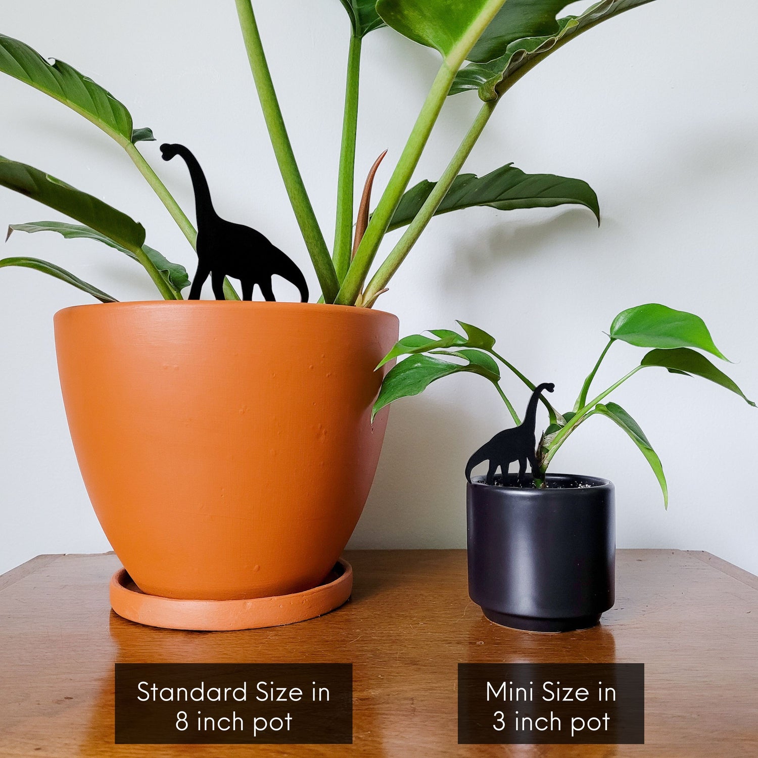 Standard and Mini plant stakes displayed in two pots of houseplants.