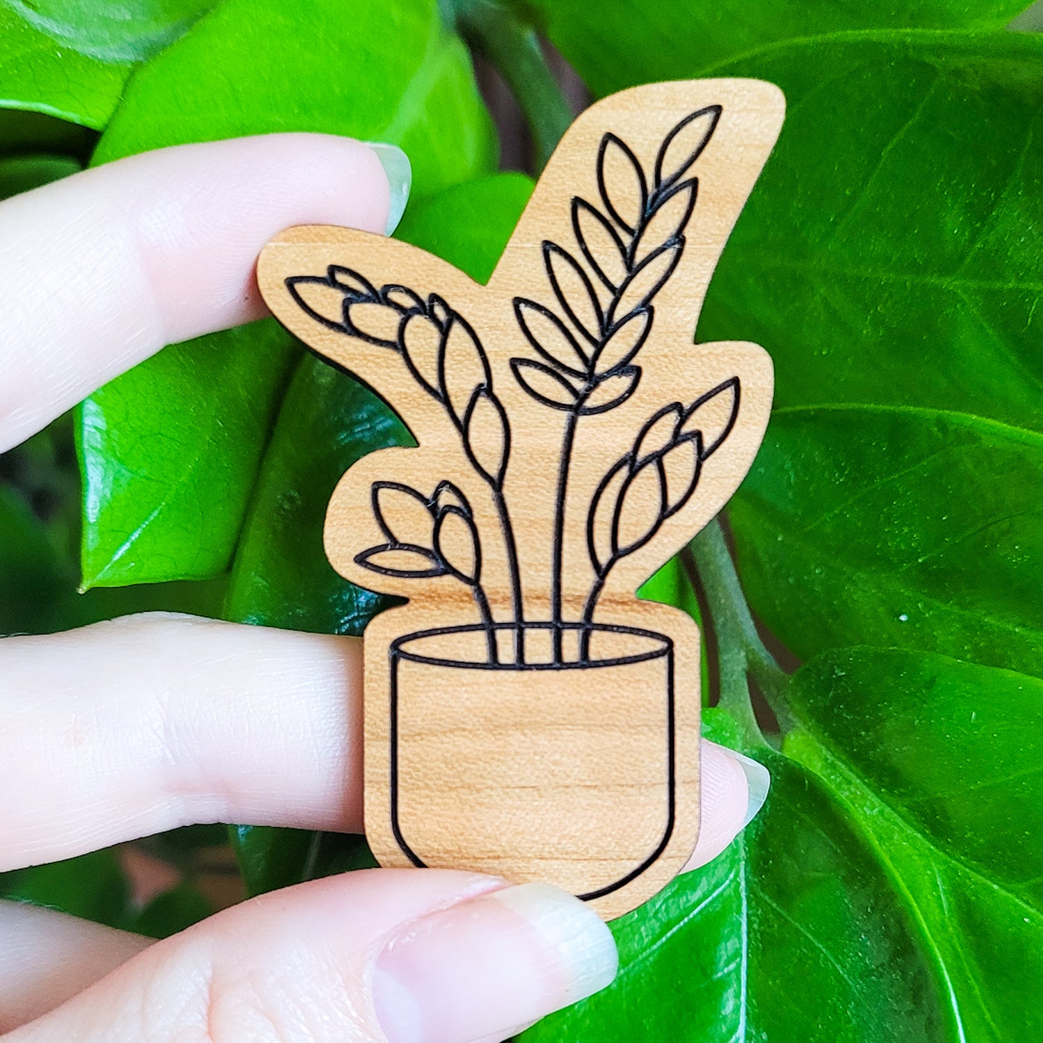 zz plant node Plant Magnet - ZZ Plant