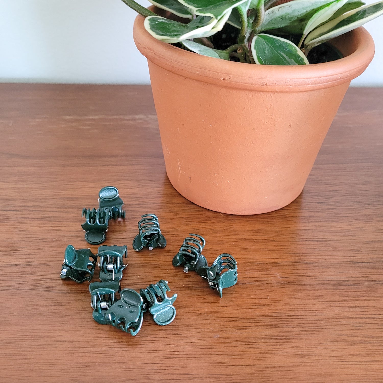 hanging plant clips Plant Clips for Indoor Trellises