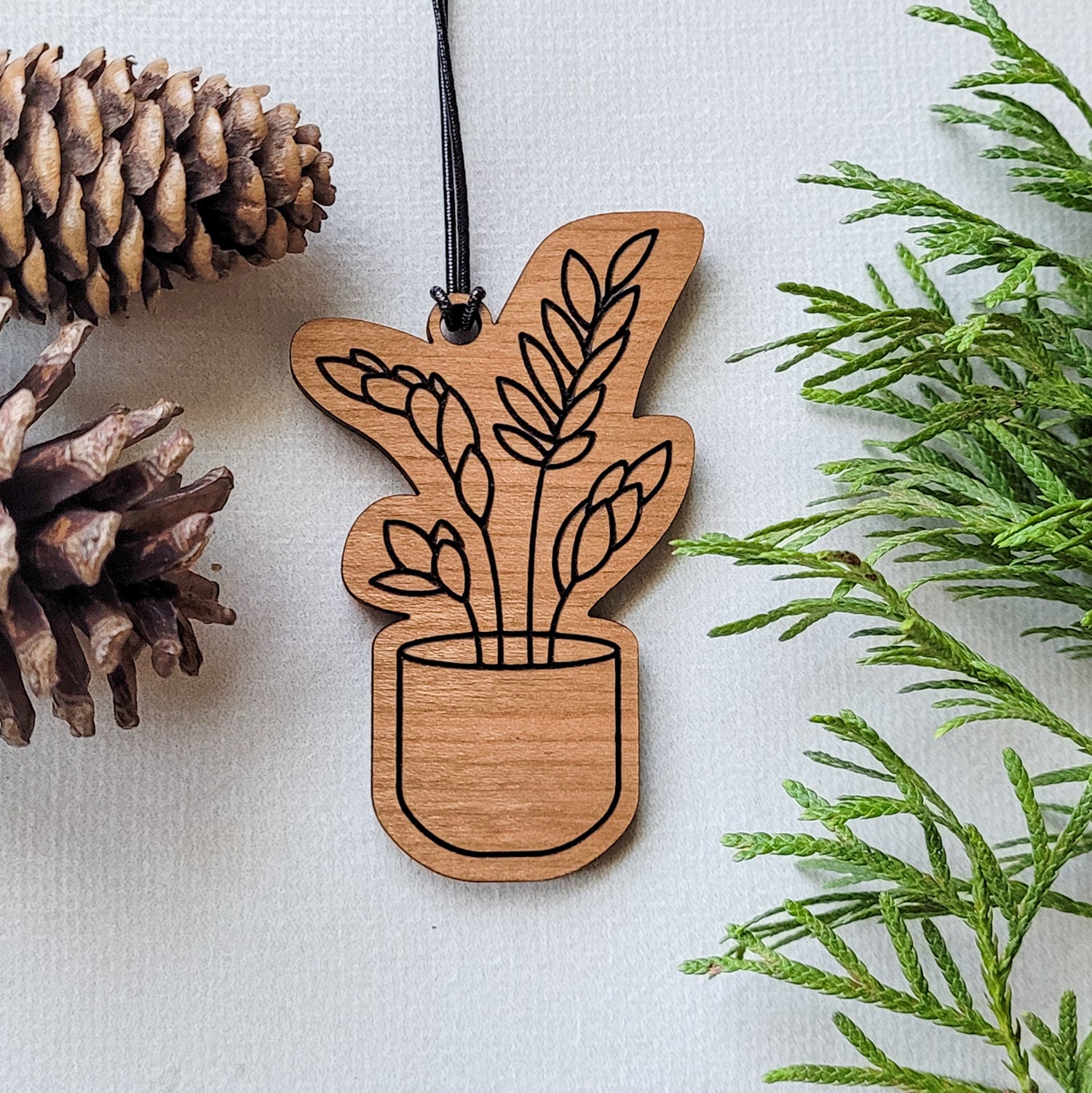 hanging plant ornament ZZ Plant Ornament - Gifts for Plant Lovers