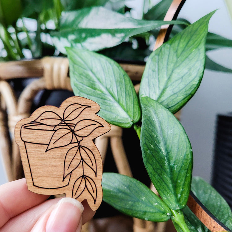 Handcrafted magnet featuring a hoya polyneura engraved in cherry wood against leaves from the plant.