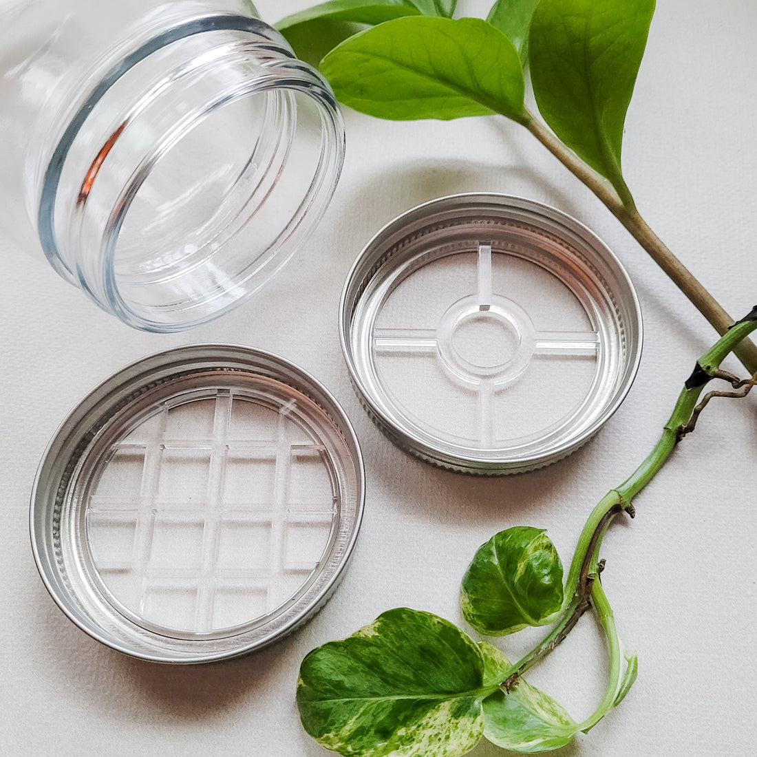 Lid Insert for Mason Jars - Plant Propagation - Root Cuttings in Water ...