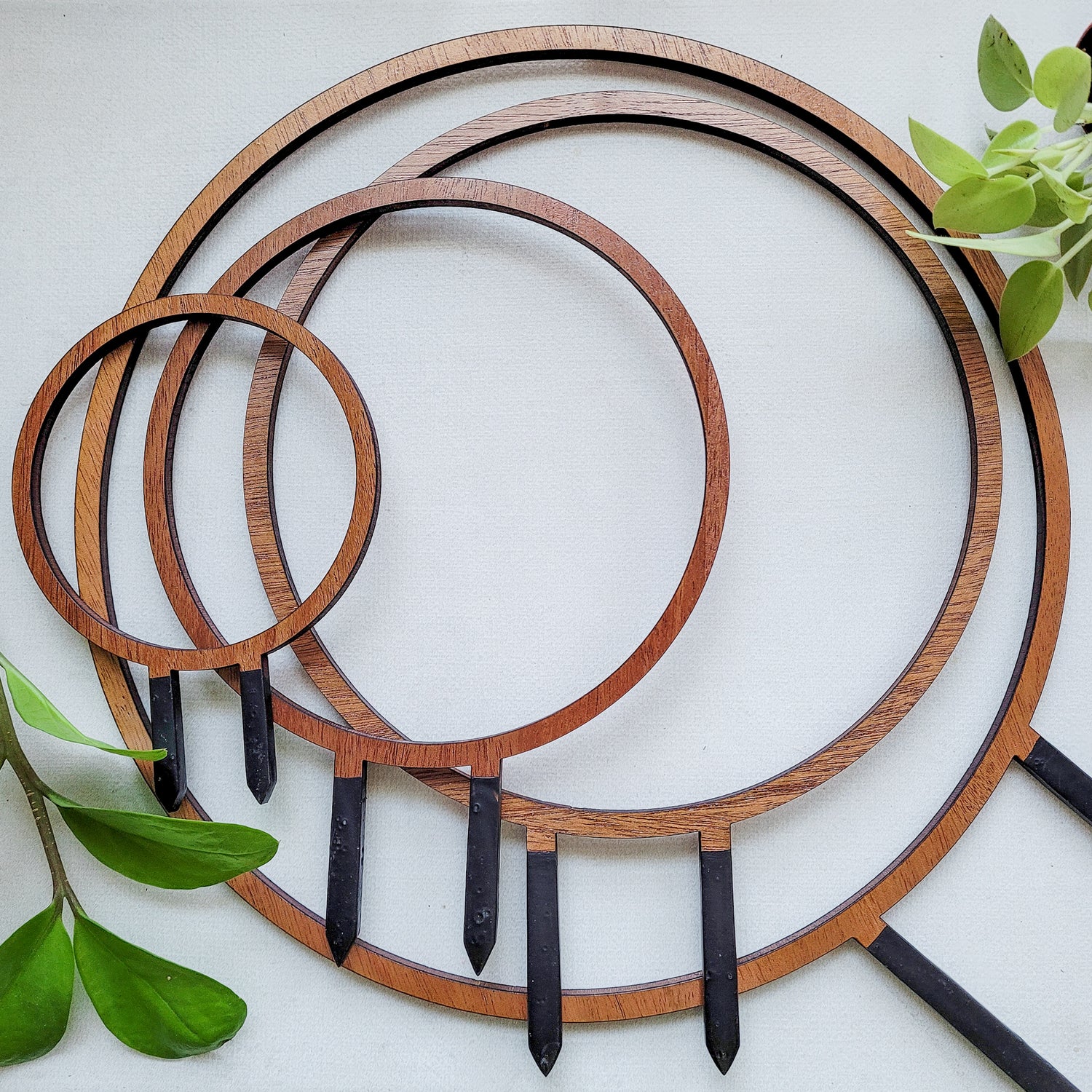 single plant trellis Round Circle Indoor Plant Trellis - Single Hoop