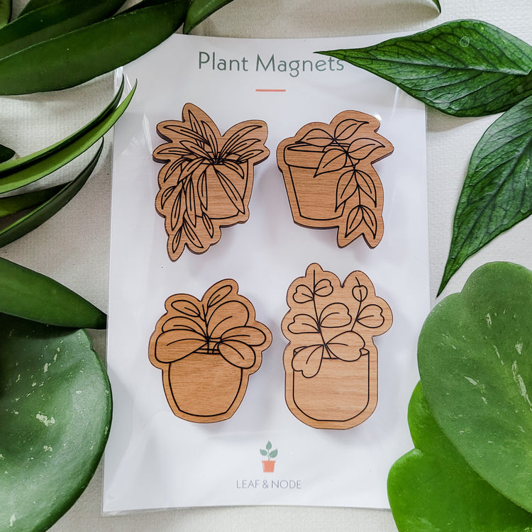 Four handcrafted magnets featuring different hoya plant designs engraved in cherry wood in product packaging.