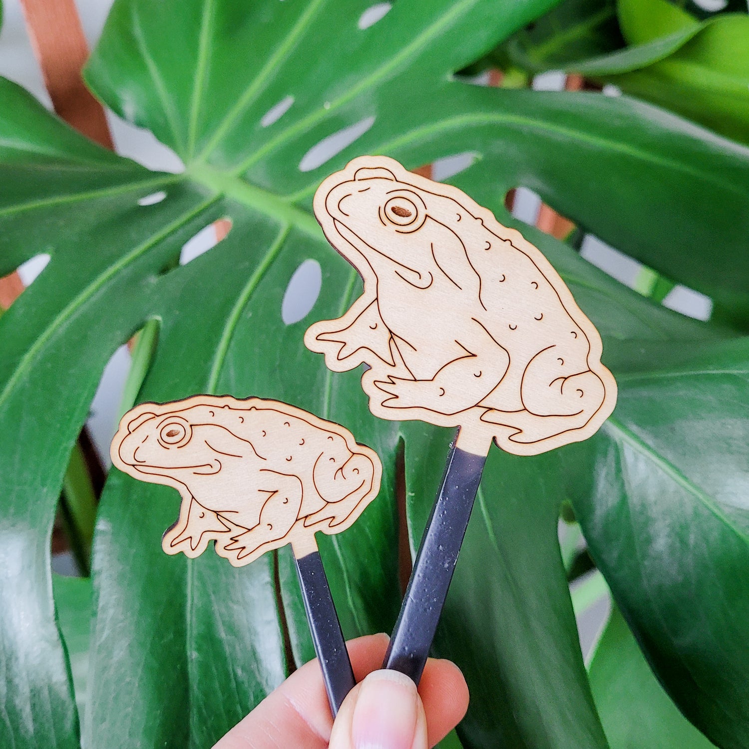 Decorative plant stake accessories featuring a toad engraved in light wood. Both size options held in hand with monstera leaf in the background.