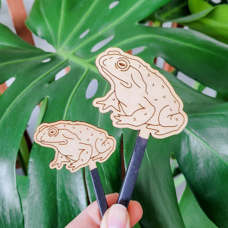 Decorative plant stake accessories featuring a toad engraved in light wood. Both size options held in hand with monstera leaf in the background.