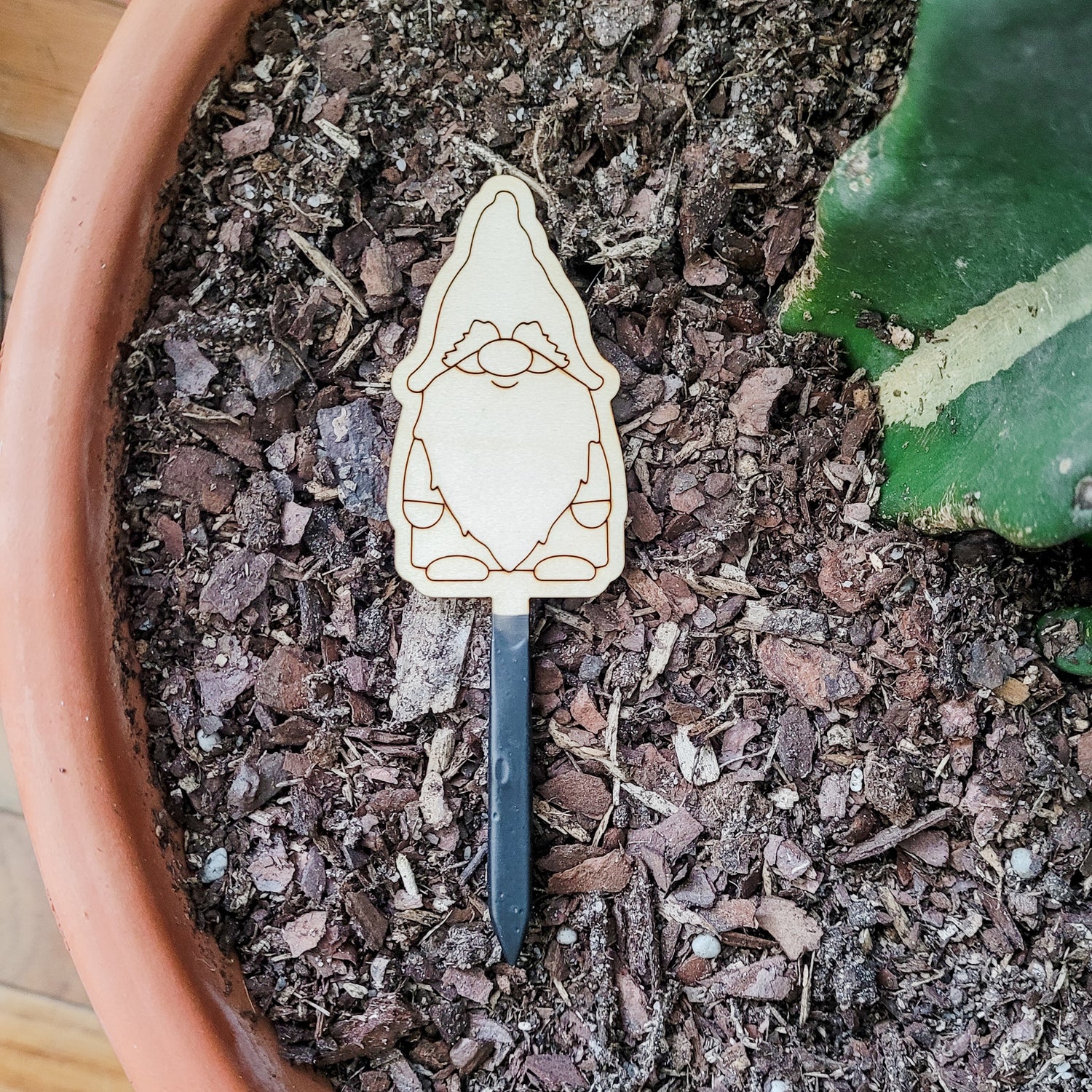 Single gnome decorative plant stake laying on top of the soil in a clay pot containing a cactus.