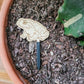 Single toad decorative plant stake laying on top of the soil in a clay pot containing a cactus.