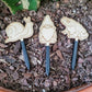 Snail, gnome, and toad decorative plant stakes in mini size laying on top of the soil in a clay pot containing a cactus.
