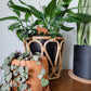 Single cat silhouette decorative plant stake displayed in a black 6 inch pot with a baltic blue pothos plant.