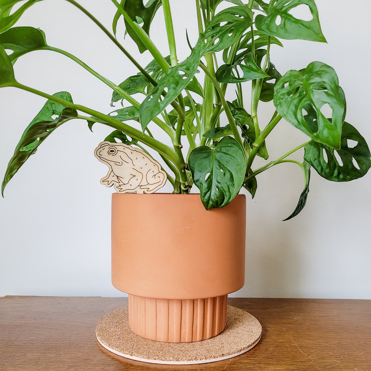 monstera stake ideas Toad Frog Indoor Plant Accessory Stake