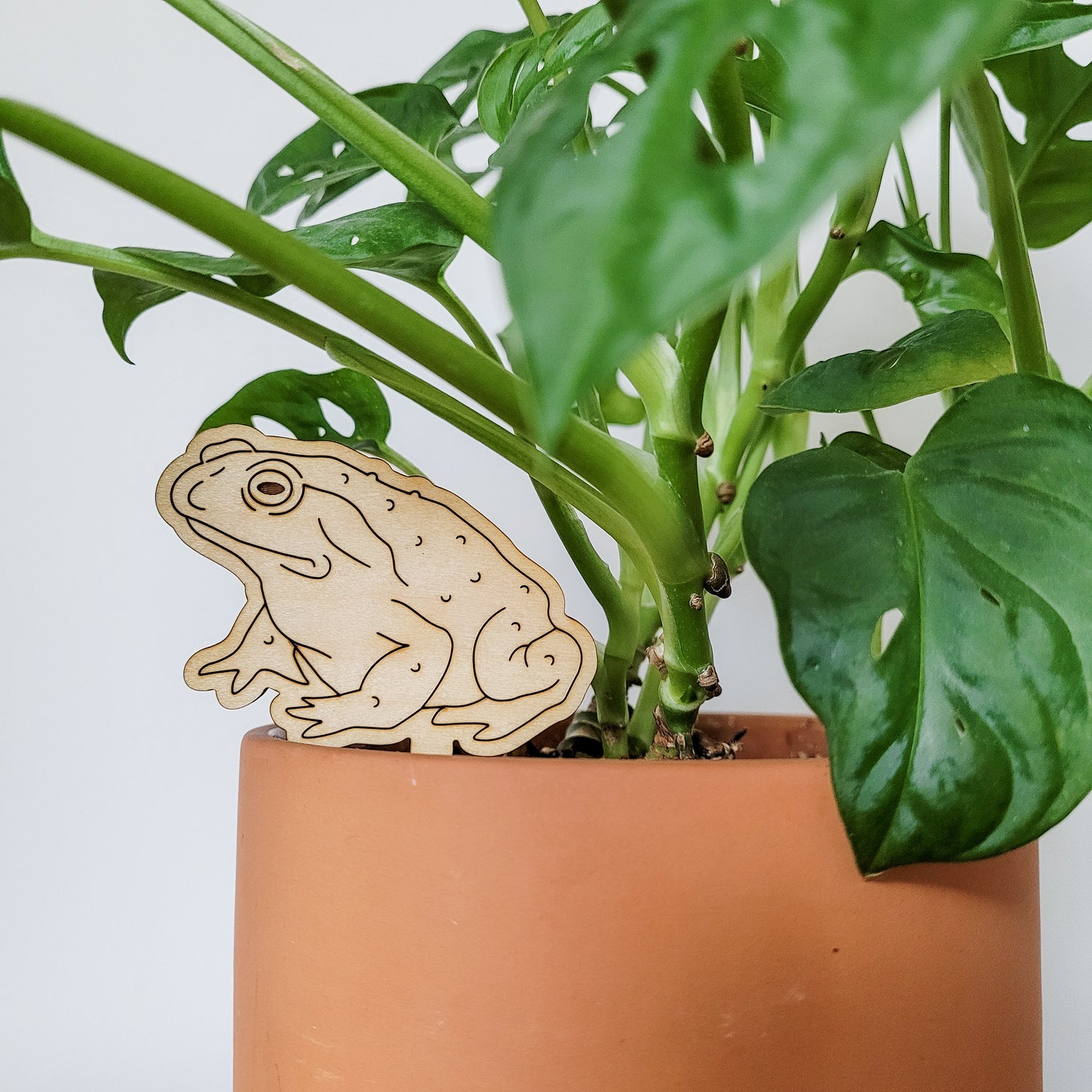 frogs in my potted plants Toad Frog Indoor Plant Accessory Stake