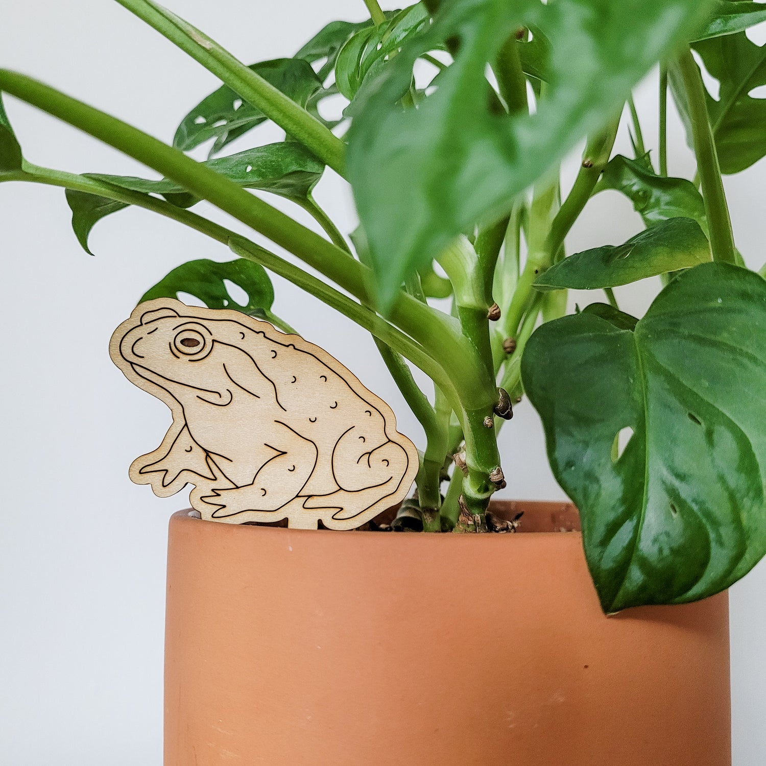 Single standard size toad decorative plant stake displayed in a 5 inch pot with a monstera adansonii plant.