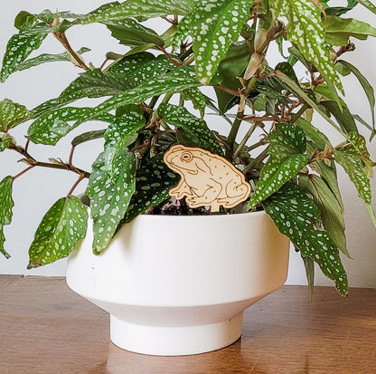 Single mini toad decorative plant stake displayed in a white  inch pot with a begonia plant.