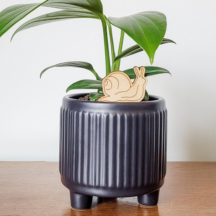Single mini snail decorative plant stake displayed in a black 4 inch pot with a dragon tail plant.