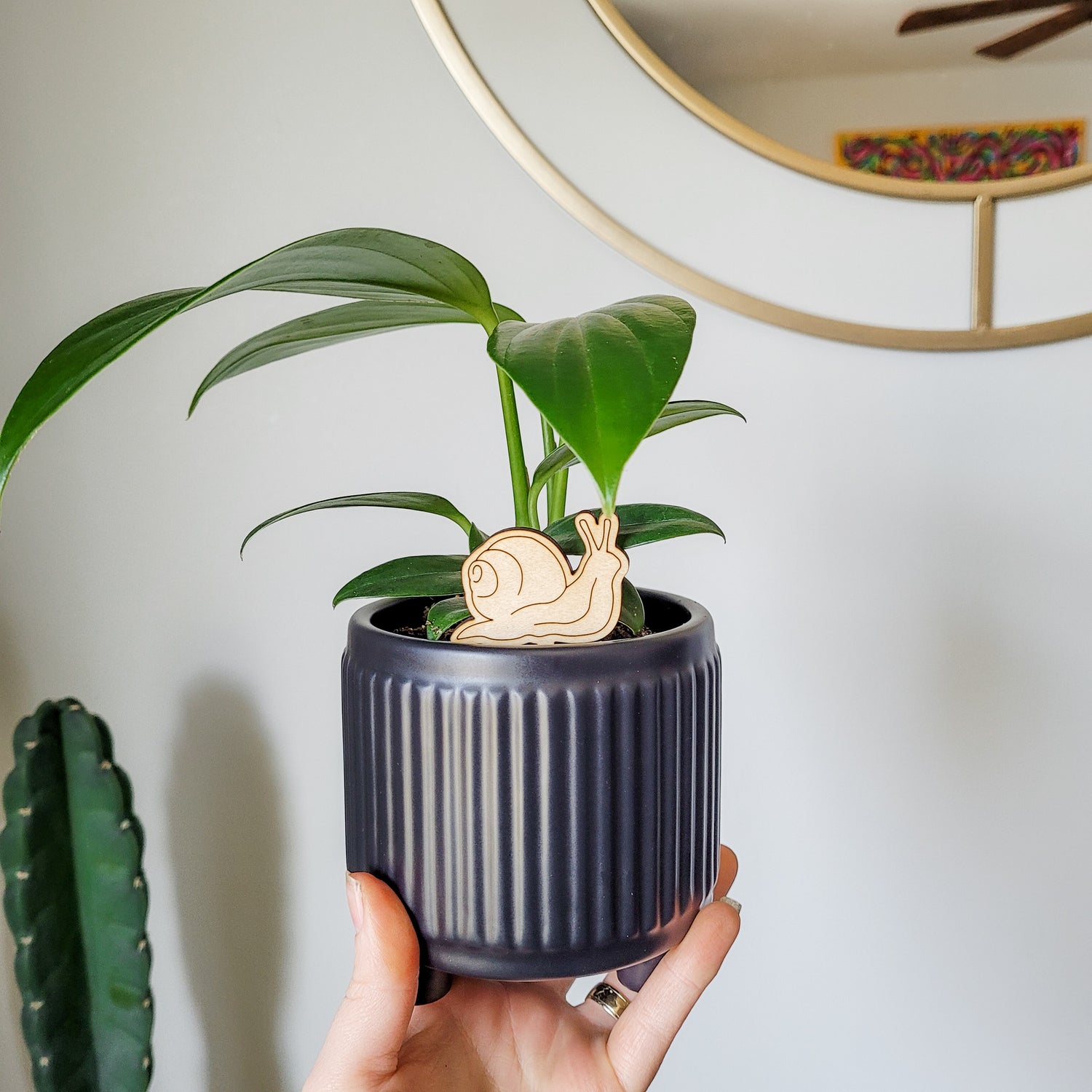 snail in house plant Garden Snail Indoor Plant Accessory