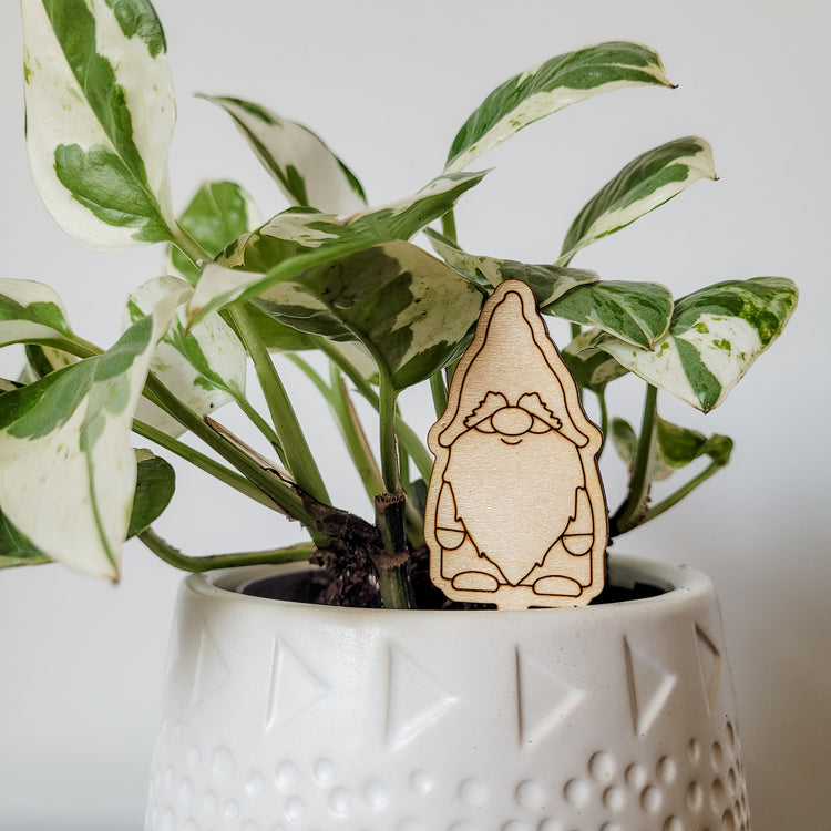 Single gnome decorative plant stake displayed in a white 3 inch pot with a pothos plant.