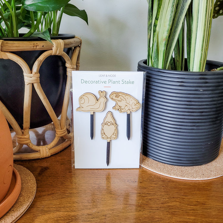 Snail, gnome, and toad decorative mini plant stakes shown in packaging sitting on an end table with two houseplants.