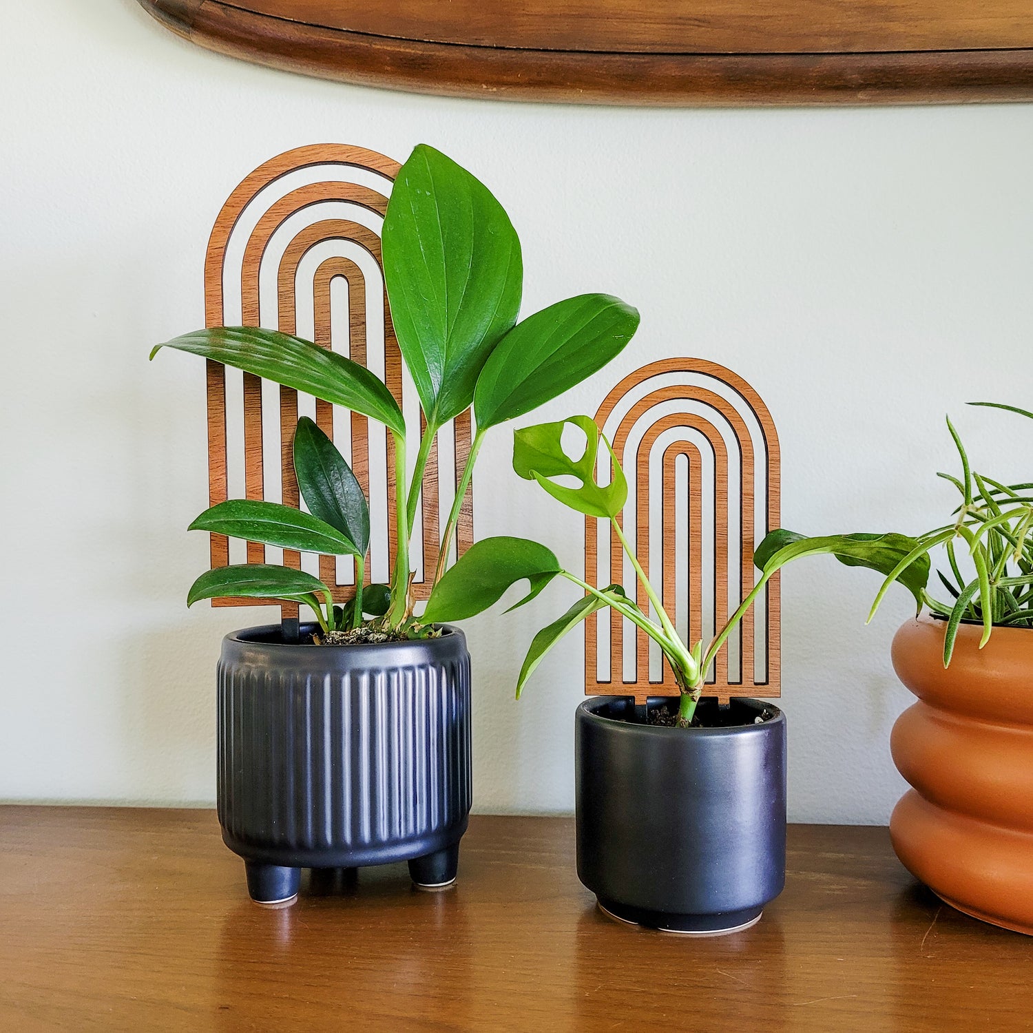 rainbow indoor plant Indoor Plant Trellis – Modern Boho Rainbow – Plant Décor & Gift Shop Standard (best for 4 inch pots)