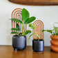 Modern Boho Rainbow Indoor Plant Trellis (Wood)