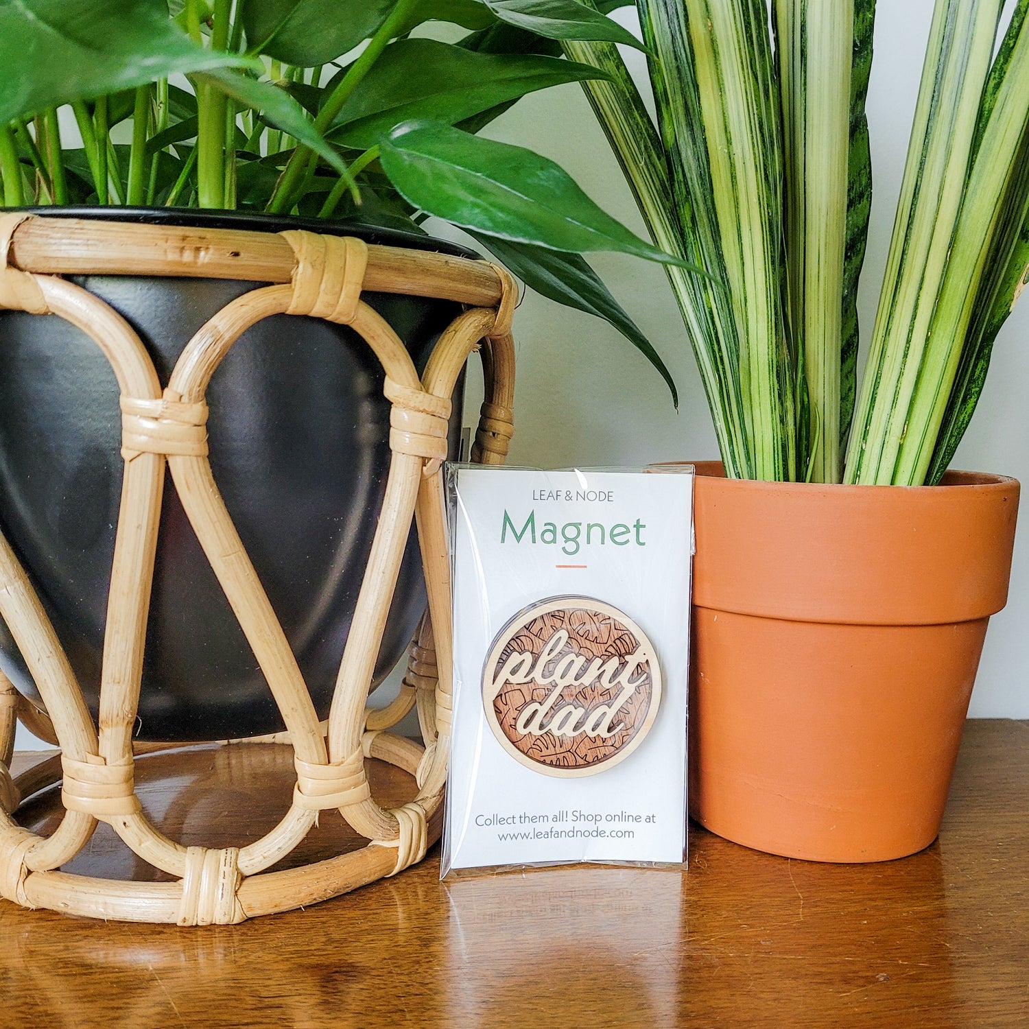 Handcrafted wooden magnet with the text "Plant Dad" cut from light colored wood on a darker wood background with an engraved monstera leaf pattern. Displayed in product packaging sitting on an end table with two houseplants.