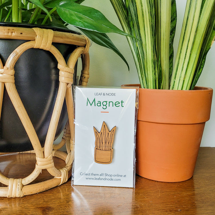 Handcrafted magnet featuring a snake plant engraved in cherry wood in product packaging sitting on an end table with two houseplants.