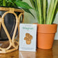 Handcrafted magnet featuring a monstera deliciosa plant engraved in cherry wood in product packaging sitting on an end table with two houseplants.