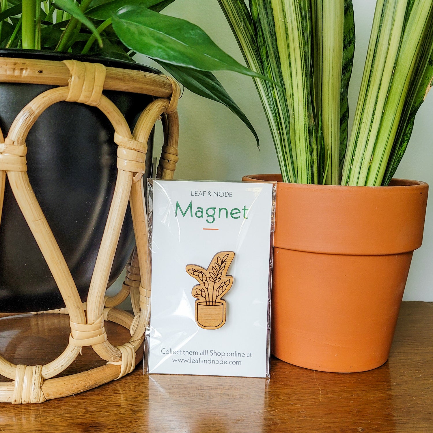 Handcrafted magnet featuring a ZZ plant engraved in cherry wood in product packaging sitting on an end table with two houseplants.