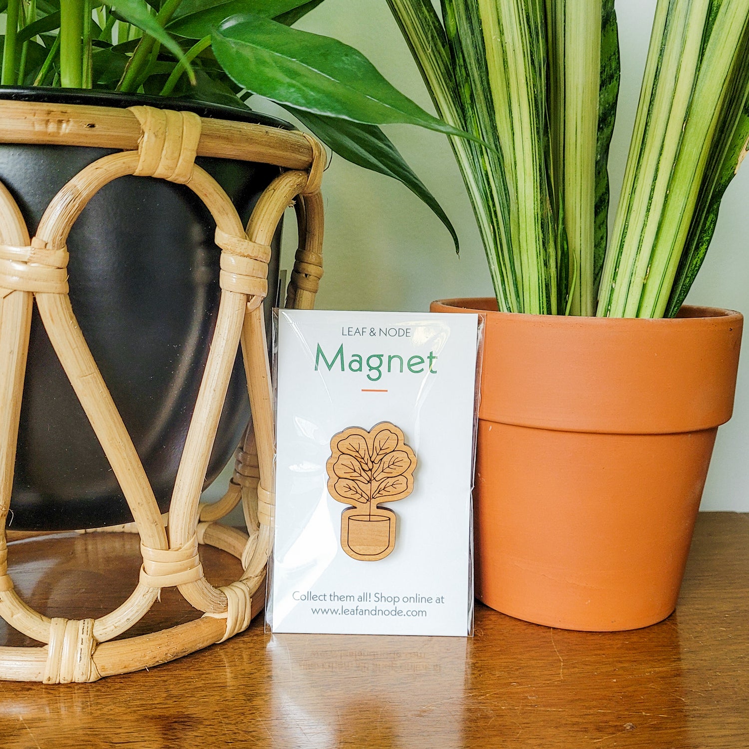 Handcrafted magnet featuring a fiddle leaf fig plant engraved in cherry wood in product packaging sitting on an end table with two houseplants.