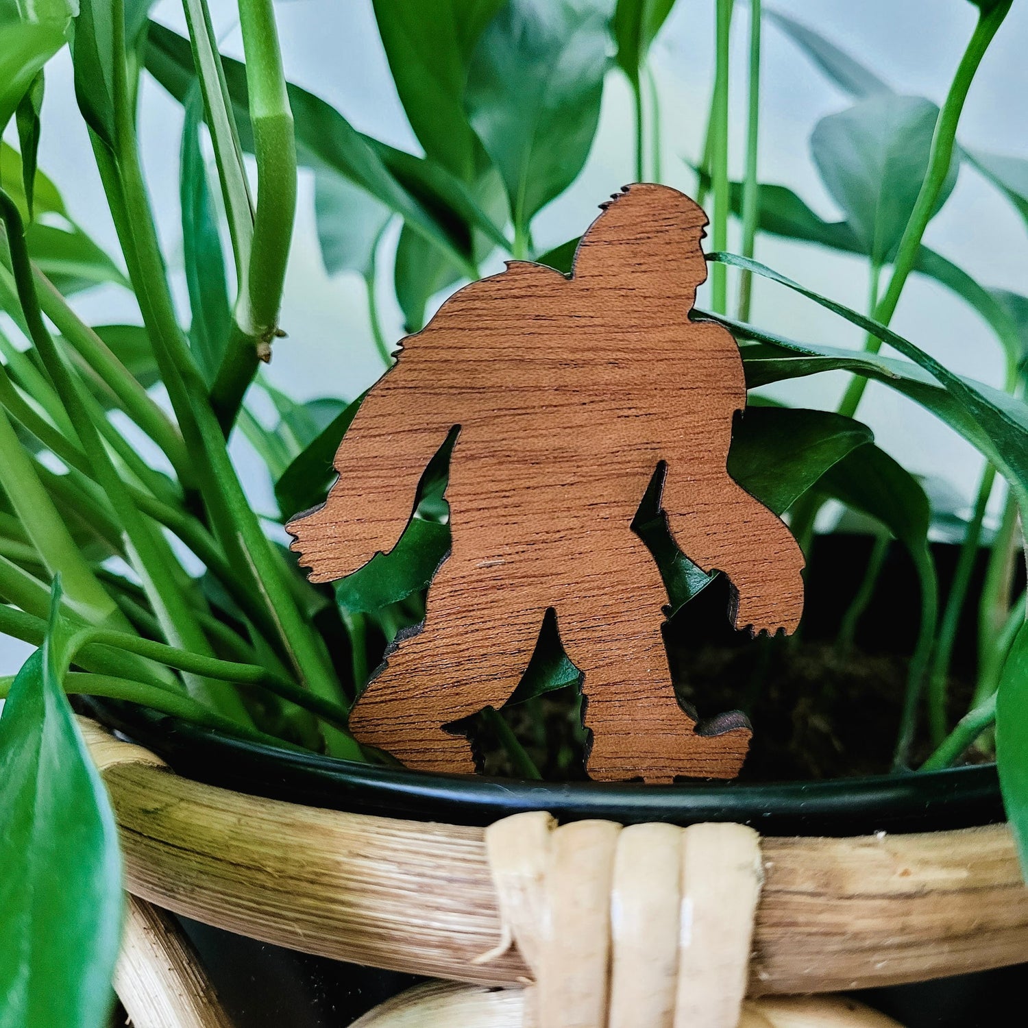 Close up of a single standard size wooden bigfoot decorative plant stake displayed in a 6 inch black pot with a baltic blue pothos plant.