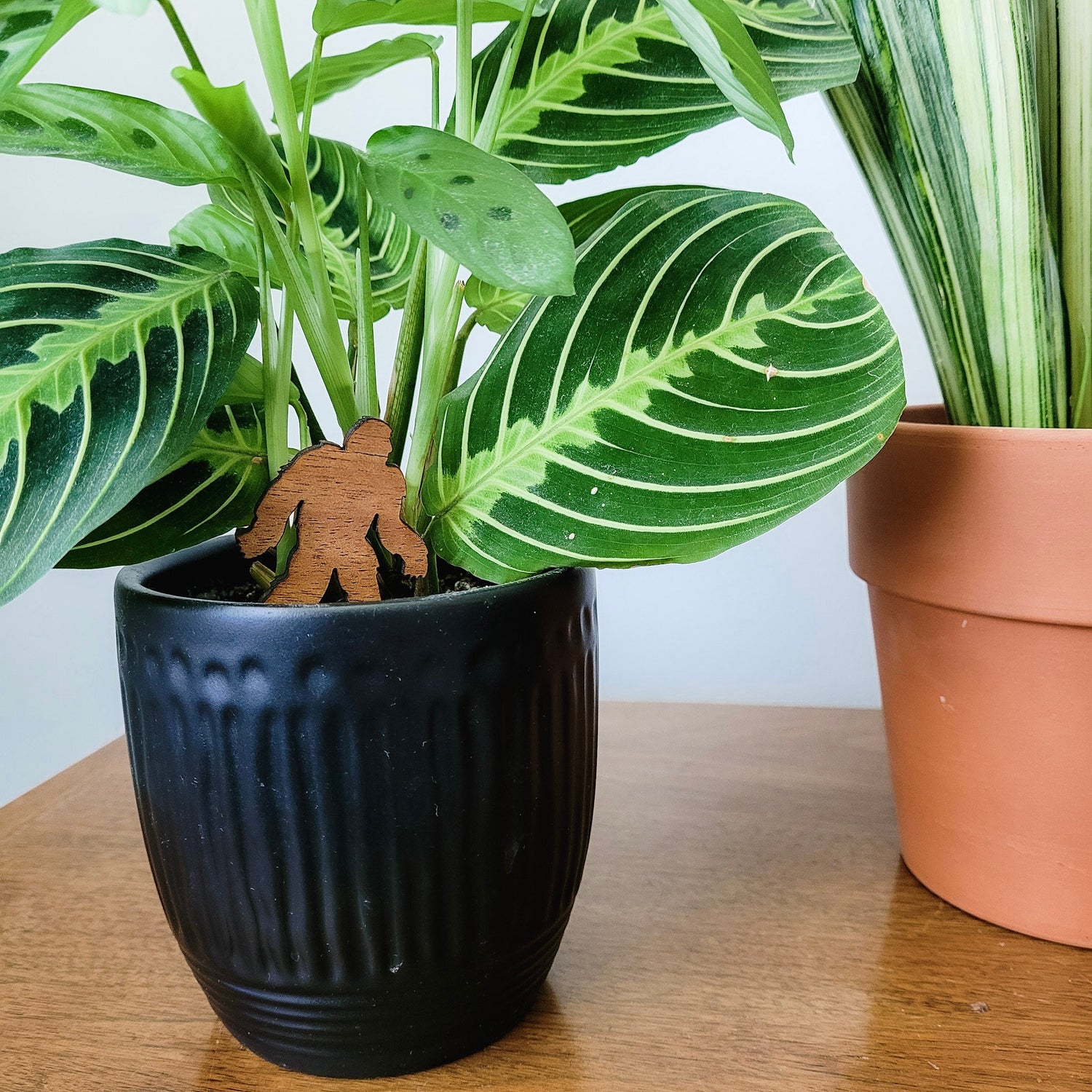 prayer plant stake Bigfoot “Sasquatch” Indoor Plant Accessory
