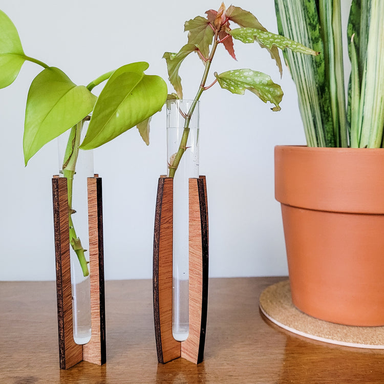 Two wooden stands holding clear test tubes filled with water and plant cuttings. Sitting on end table with snake plant in clay pot.