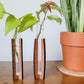 Two wooden stands holding clear test tubes filled with water and plant cuttings. Sitting on end table with snake plant in clay pot.