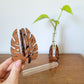 Hand holding a wooden monstera leaf stand for size perspective with a test tube propagation station holding a plant cutting in the background.