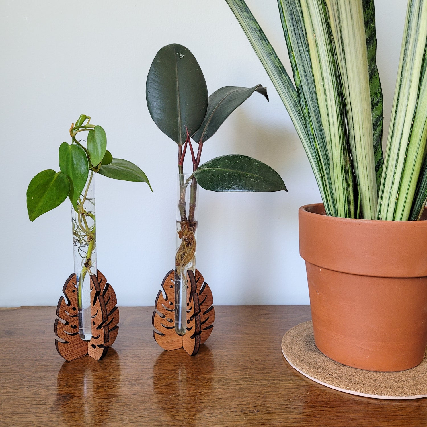 Two wooden monstera leaf stands holding a clear test tube with water and plant cuttings. Sitting on an end table with a snake plant in a clay pot.